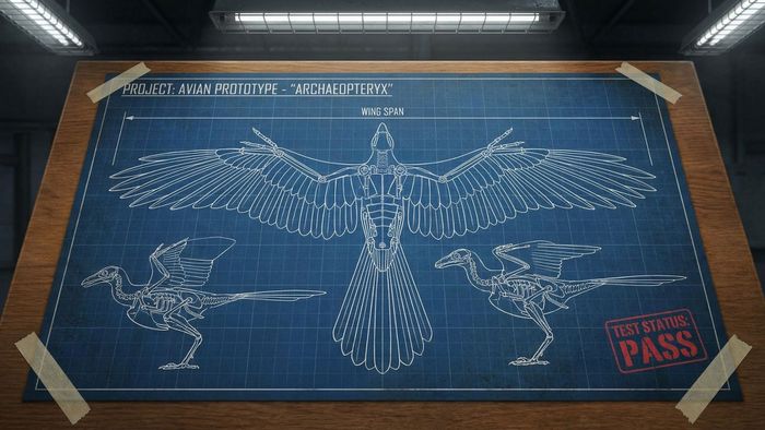 The Bird Blueprint
